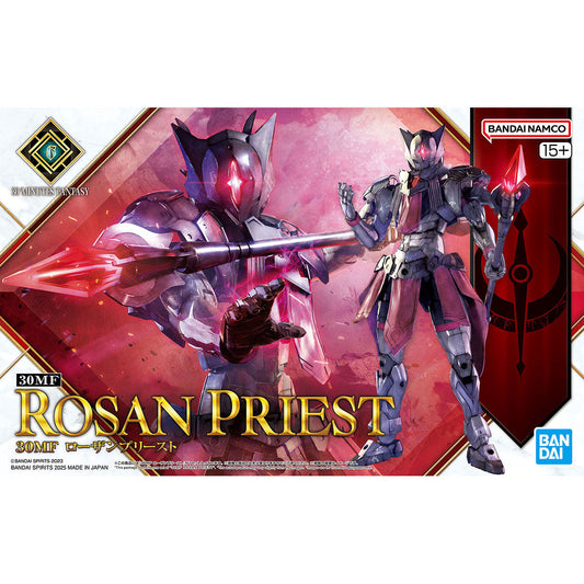 30 Minutes Fantasy Rosan Priest Model Kit