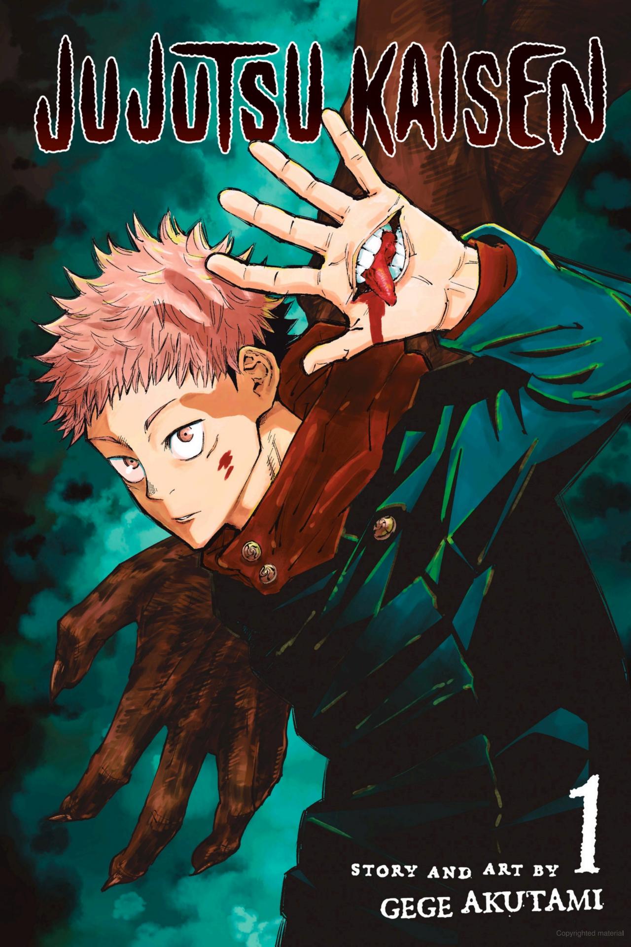 Jujutsu Kaisen Vol. 1