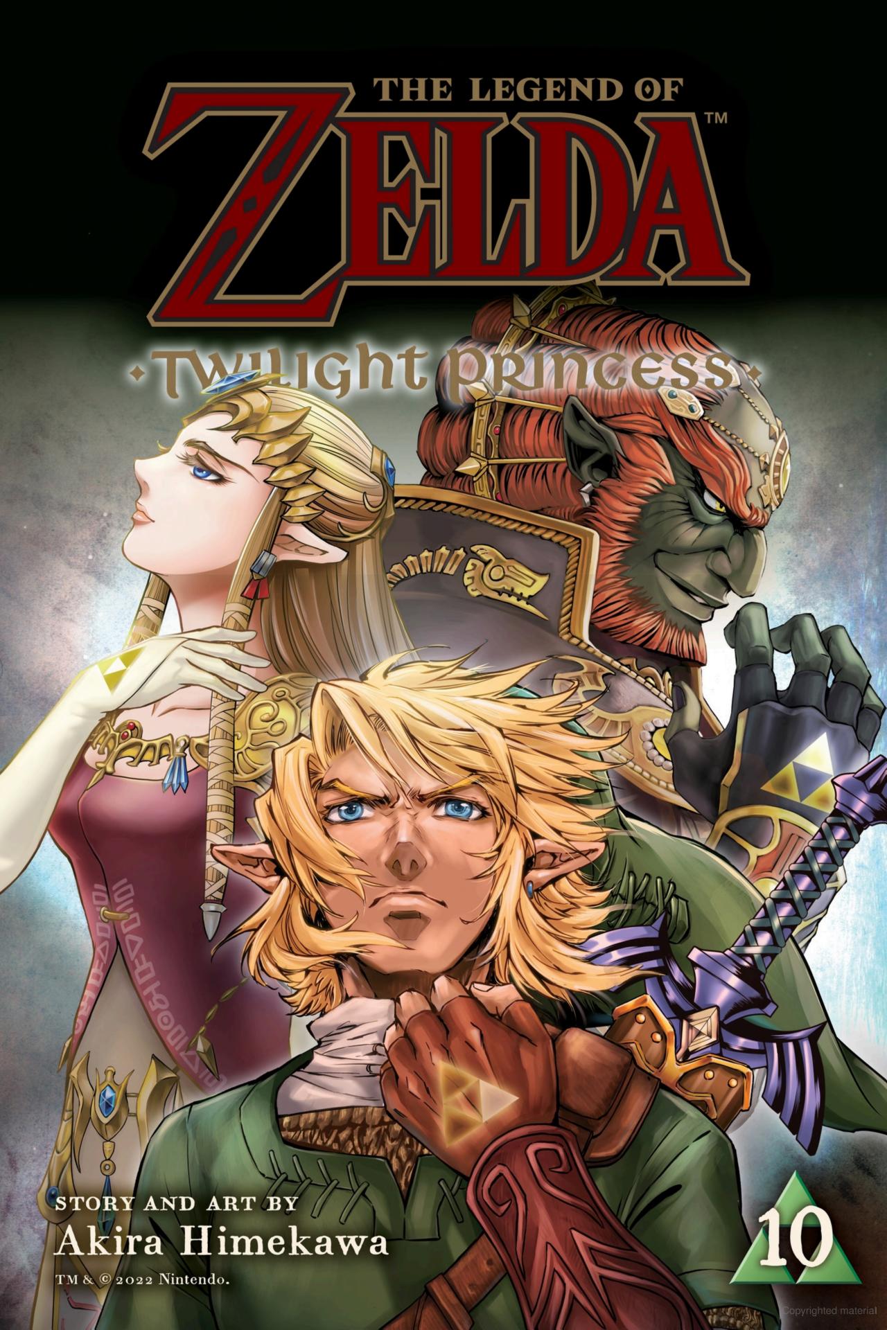The Legend of Zelda: Twilight Princess Vol. 10