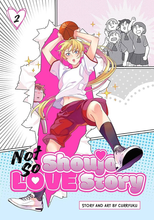 Not So Shoujo Love Story Vol. 2