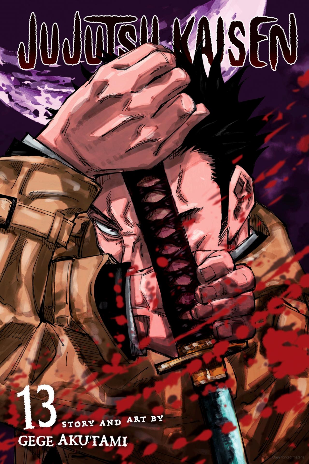 Jujutsu Kaisen Vol. 13