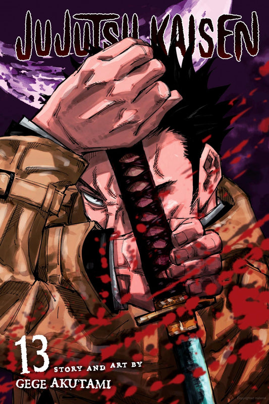 Jujutsu Kaisen Vol. 13
